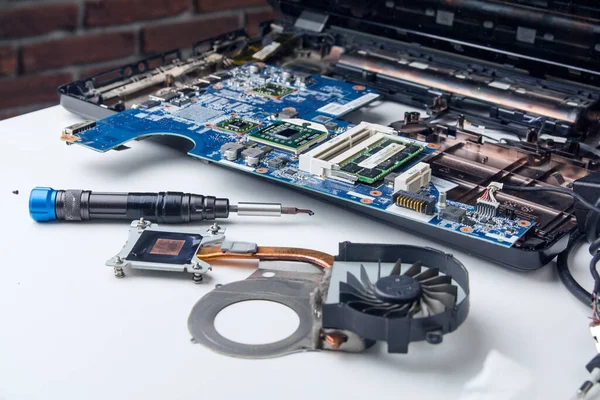 stock image disassembled laptop, computer workshop, cooling system, screwdriver