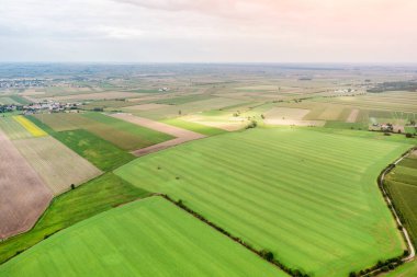 Renkli tarlalarda Panorbeautiful manzarası dikilmiş, yaz masmavi gökyüzünün arka planına karşı, bir dron ile yaz manzarası, yeşil alan damı