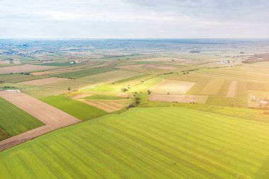 Yeşil tarlalar üzerindeki resimsel manzara sonsuz güneş alanları, kırsal alan...