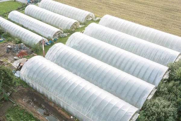 Greenhouses lined up in a row, covered with a transparent film of grown vegetables and fruits, top view. Agriculture, organic products. Drone