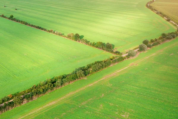 Paisagem Pitoresca Campos Verdes Iluminados Pelos Espaços Intermináveis Sol Paisagem — Fotografia de Stock