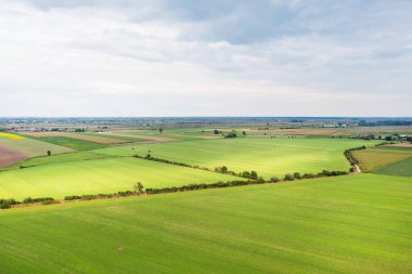 Yeşil tarlalar üzerindeki resimsel manzara sonsuz güneş alanları, kırsal alan...