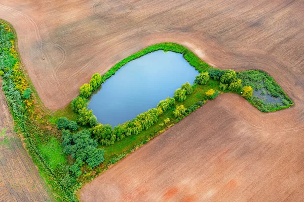 畑の真ん中の青い湖 畑の木々の間の湖 夏の風景 — ストック写真