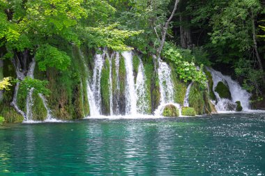 Parktaki şelaleler, göl kenarındaki güzel yaz manzaraları ve şelaleler, Plitvice Gölleri, Hırvatistan