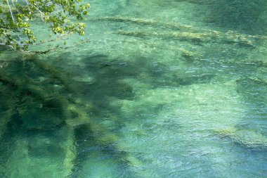 Sel basmış ağaçlar nehir suyunun altında, kayalık nehir tabanının manzarası