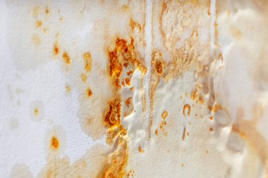 Selden sonra tavanda büyük küf, odanın tavanında ıslak izler.