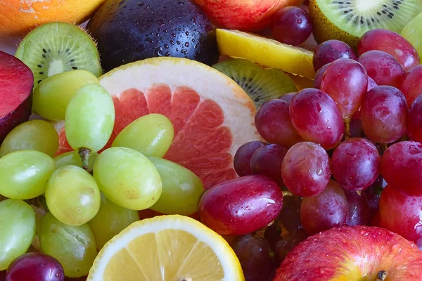 fruit slices close-up