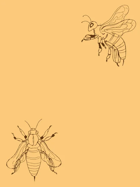 Illustration d'une abeille sur un fond orange le dessin de contour, carte de voeux — Image vectorielle