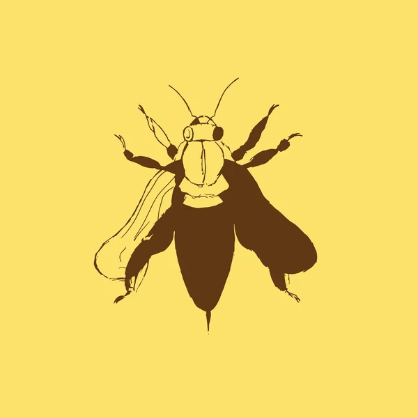 Illustration einer Biene, eines Insekts, von Hand gezeichnet — Stockvektor