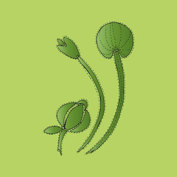 Ilustrace zelené květiny v plném květu, pampelišky, pozadí — Stockový vektor