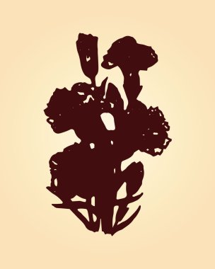 Resimde bir pembe karanfil