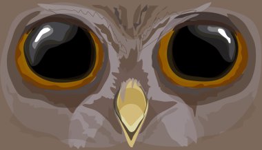 Resimde howlet. Bir baykuş başkanı.