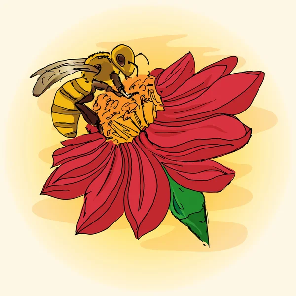 Illustration einer Biene auf einer Blume, Bestäubung, Handzeichnung — Stockvektor