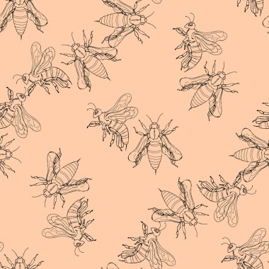 Arka plan anahat çizim, tebrik kartı üzerinde bir arı Illustration. Seamless modeli.