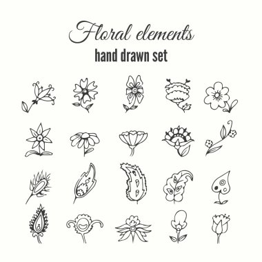 Vektör çiçek dekoratif set. Otlar ve kır çiçekleri.