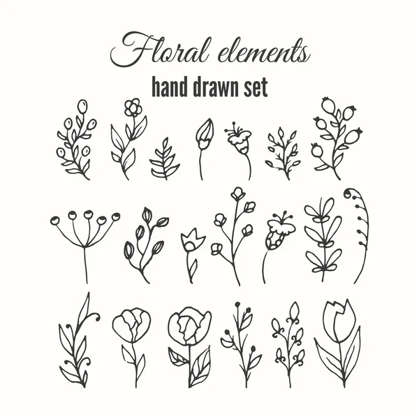 Vector floral decorative set. Herbs and wild flowers. — Stock Vector