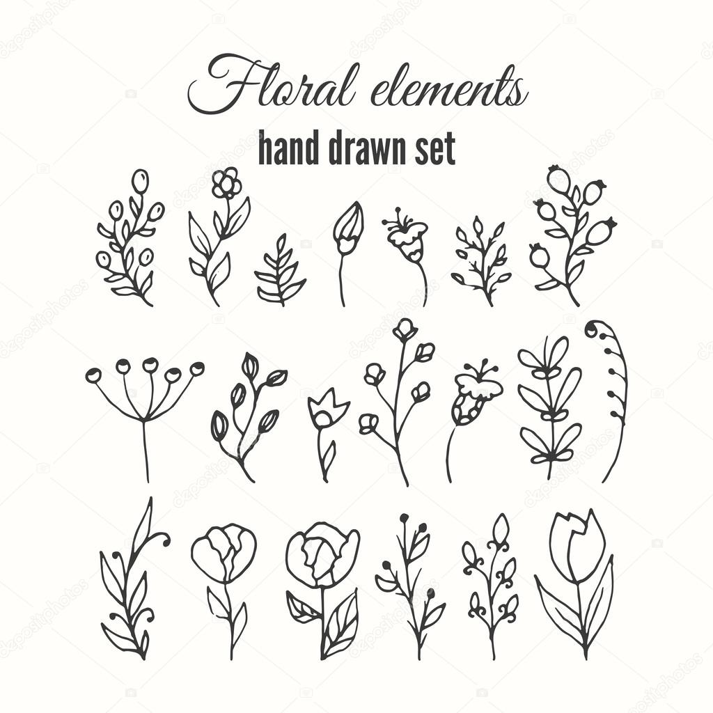 Vector floral decorative set. Herbs and wild flowers.