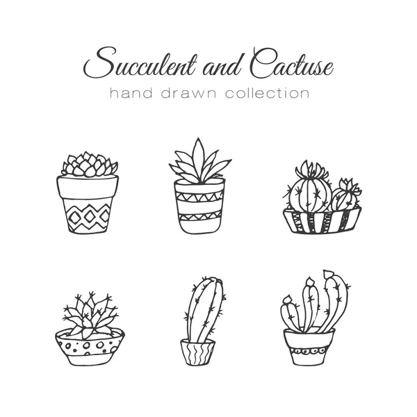 Afbeelding van de cactus. Vector sappig en cactussen hand getekende set. In de deur planten in potten. — Stockvector