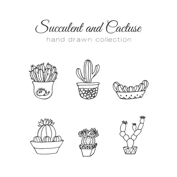 Illustrazione del cactus. Set vettoriale succulento e cactus disegnato a mano. In impianti di porta in vasi . — Vettoriale Stock