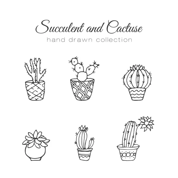 Illustrazione del cactus. Set vettoriale succulento e cactus disegnato a mano. In impianti di porta in vasi . — Vettoriale Stock