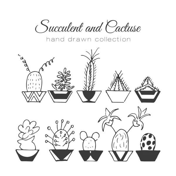 Illustrazione del cactus. Set vettoriale succulento e cactus disegnato a mano. In impianti di porta in vasi . — Vettoriale Stock