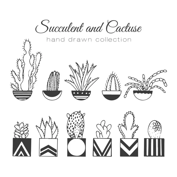 Illustrazione del cactus. Set vettoriale succulento e cactus disegnato a mano. In impianti di porta in vasi . — Vettoriale Stock