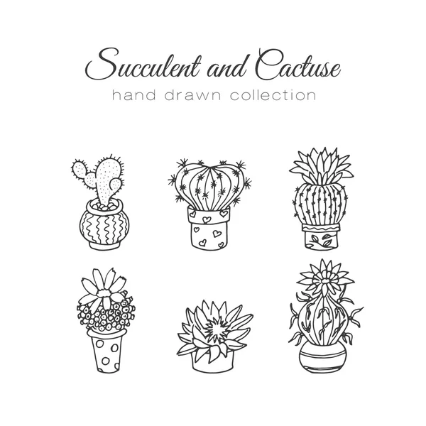 Кактус иллюстрация. Векторный суккулент и набор кактусов. В дверных растениях в горшках . — стоковый вектор