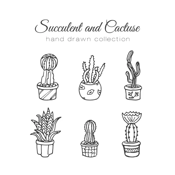 Ilustración de cactus. Set vectorial suculento y dibujado a mano de cactus. En las plantas de puerta en macetas . — Archivo Imágenes Vectoriales