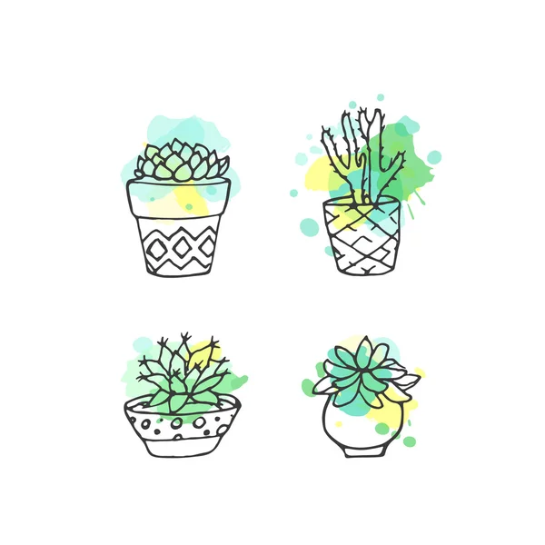 Ilustração suculenta. Vector cacto mão desenhado conjunto com respingos de tinta. Cacti e em plantas de porta em vasos . — Vetor de Stock
