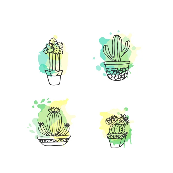 Suculenta ilustración. Set dibujado a mano de cactus vectorial con salpicaduras de pintura. Cactus y en las plantas de puerta en macetas . — Archivo Imágenes Vectoriales