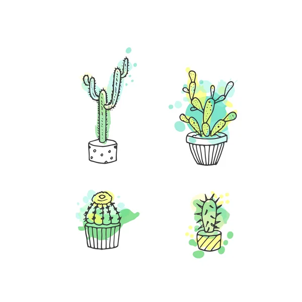 Sappige illustratie. Vector cactus hand getrokken set met verf spatten. Cactussen en in deur planten in potten. — Stockvector