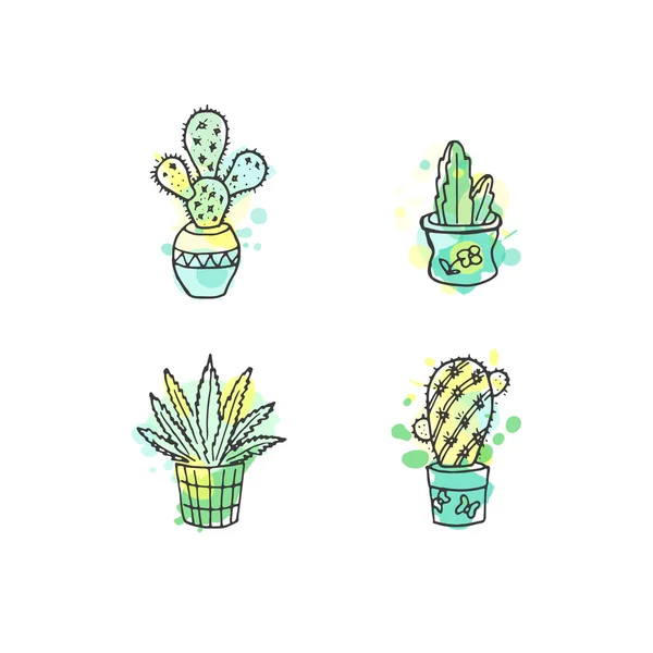 Sappige illustratie. Vector cactus hand getrokken set met verf spatten. Cactussen en in deur planten in potten. — Stockvector