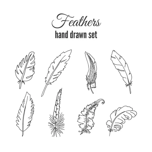 Vector feathers set. Hand drawn ethnic elements. Sketchy feather. — Stock Vector