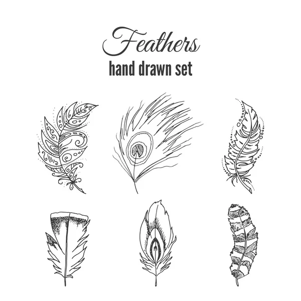 Vector feathers set. Hand drawn ethnic elements. Sketchy feather. — Stock Vector