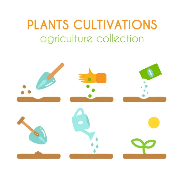 Διάνυσμα καλλιέργεια φυτών. Σπέρνοντας και φυτεύοντας infographic σχεδιασμό διεργασιών. Επίπεδη Γεωργίας συλλογή. — Διανυσματικό Αρχείο
