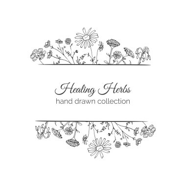 Holistik tıp kartı şifalı otlar illüstrasyon.