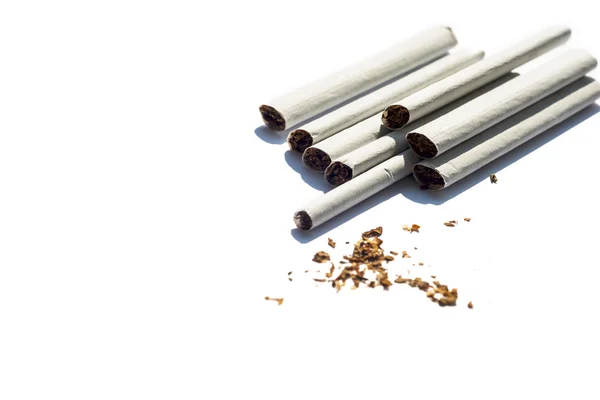 흰색 배경에 고립 된 담배 — 스톡 사진