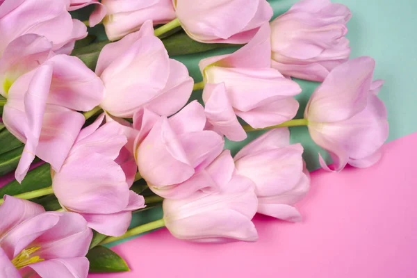 spring flowers banner - bunch of pink tulip flowersbright colorful background.