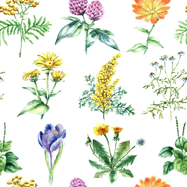 Sammlung handgezeichneter Heilkräuter und Pflanzen. nahtloses Muster — Stockvektor