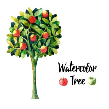 Watercolor apple tree.