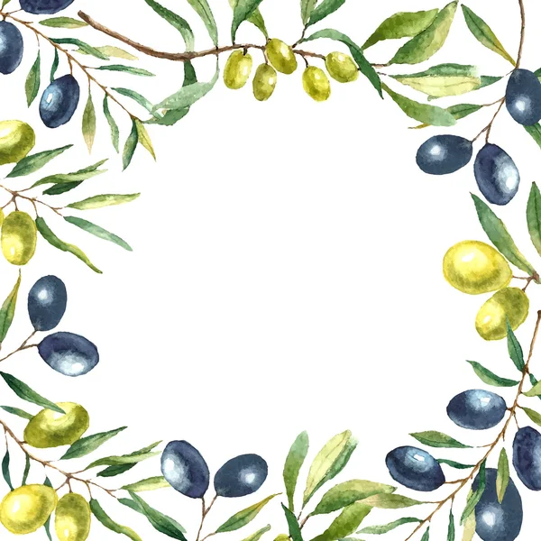 Watercolor olive branch background. — Stockvector