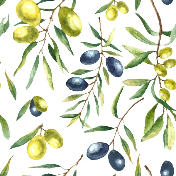 Watercolor olive branch background. — ストックベクタ