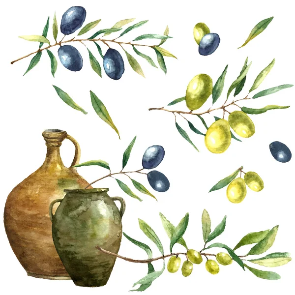 Watercolor olive branch background. — Stok Vektör