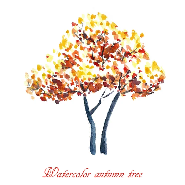 Albero autunnale . — Vettoriale Stock