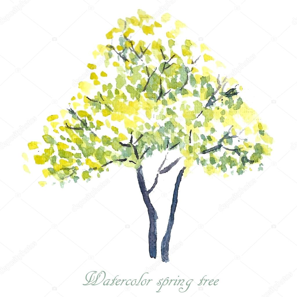 Watercolor spring tree.