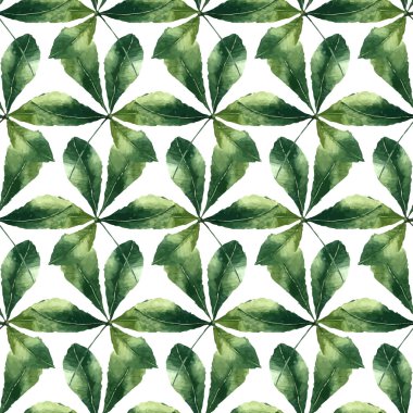 Suluboya kestane yaprak.