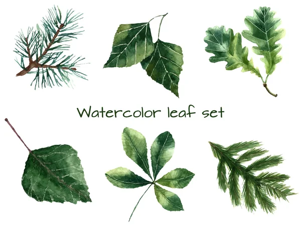 Watercolor leaves. — Stock Vector