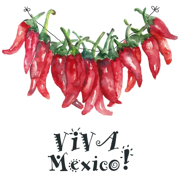 Chilli aquarela . — Vetor de Stock