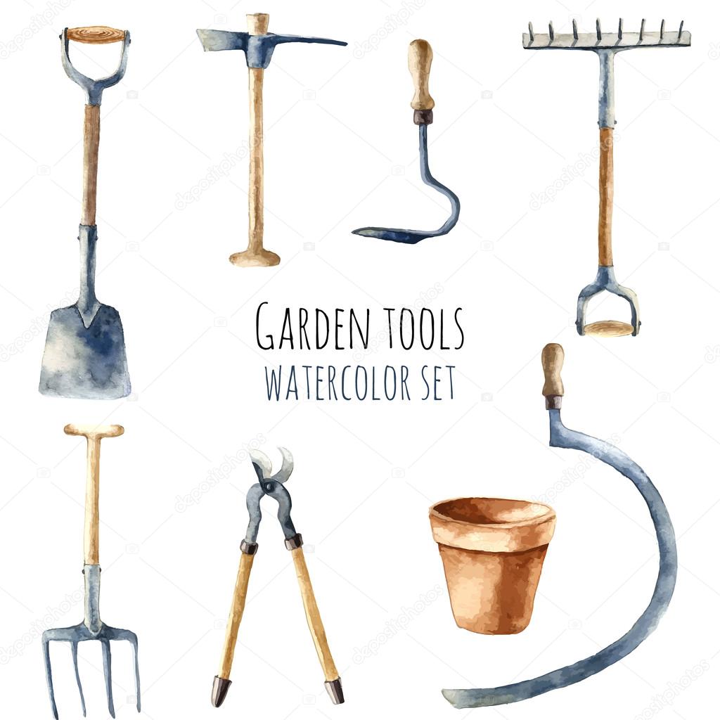 Watercolor garden tools.