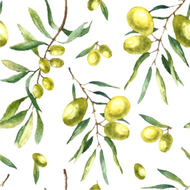Watercolor olive branch background.